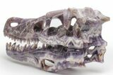 Polished Chevron Amethyst Dinosaur Crystal Skull - Ferocious! #218500-5